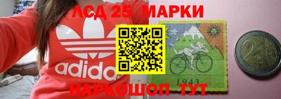шишки Новозыбков
