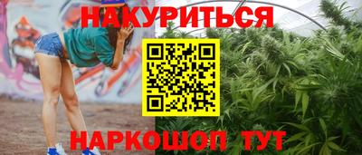 шишки Новозыбков