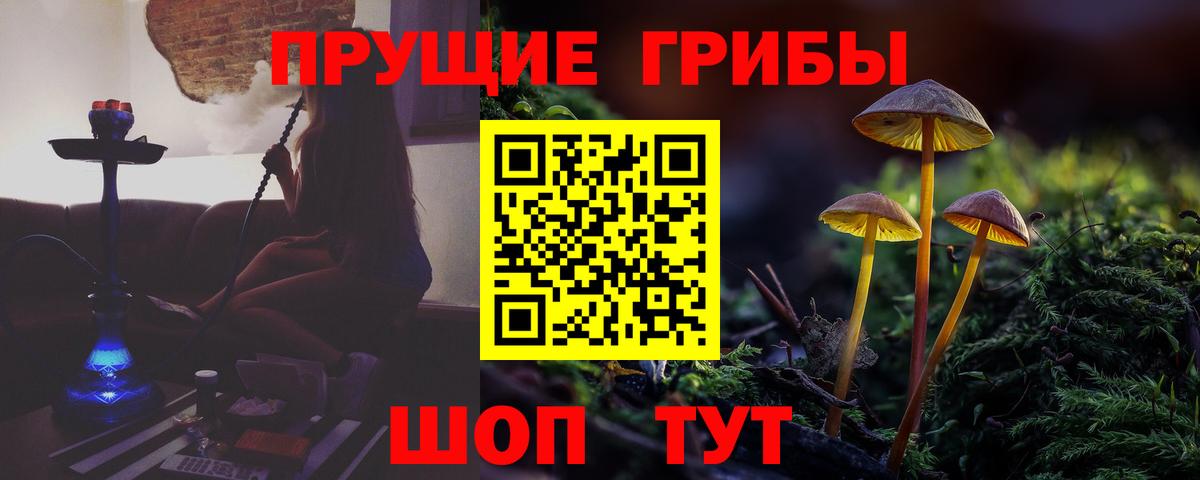 Волхов  Псилоцибиновые грибы прущие грибы  Вход с VPN  Псилоцибиновые грибы прущие грибы 